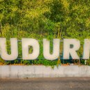 우두리 포펫 애견펜션 이미지