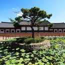 경상감영공원 이미지