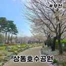 상동체육공원 | 부천 상동호수공원 벚꽃 봄나들이