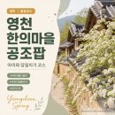 영천한의마을 카페 | 2026 영천 한의마을 공조팝 아이와 함께 가기 좋은 코스 당일치기·1박2일·주차·뚜벅이 동선 정리