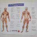 사랑케어안마원 이미지