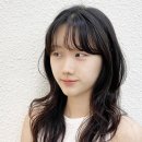 아브헤어 이미지