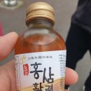[5.30~31] 거제 지세포항 한치 출조 후기