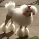 화성카센터 이미지