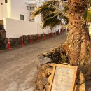 애월 여정 | 제주 게스트하우스 내돈내산 파티&amp;숙소 후기 : 새애월 (feat. 뚜벅이 혼여행 게하 숙박 추천)