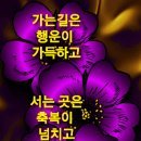 기러기의 리더십 이미지