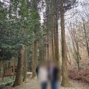 대한다원화장실 | [보성] 대한다원 내돈내산 - 입장료, 녹차밭, 삼나무숲, 주차정보