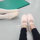 유연발레학원 | 대전 성인발레 '유연무용학원' 성인취미반 6개월 수강 후기