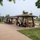 생태습지 이미지