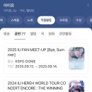 위닝헤어 | 2025 아이유 콘서트를 기다리며 쓰는 2024 헐콘 The winning 더위닝 후기