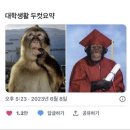 선몰 이미지