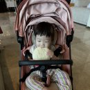 세빈파크 이미지