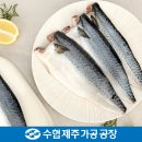수협제주가공공장