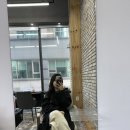 [서울/서초]레전드 단발물결펌, 오즈 서초교대점 은채쌤께~