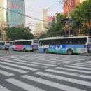 부산, 99번 버스 (2012.4.23~8.4) 삼화여객 이미지