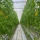 일번지모텔 | 1월 3째주 일기