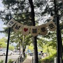 블루문캠핑장 | 6월 초 가평 블루문 캠핑장 초등생 수영장 이용 후기