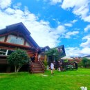 경주통나무 | 경주애견독채펜션 경주통나무펜션 방문후기