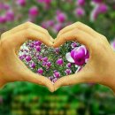 도우미식당 이미지