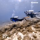 한국맥시멈체력센터 | 세부 다이빙 어디가 좋을까?LGB다이빙센터 오픈워터 자격증 리얼 후기(숙소,식사포함)