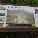 단양 금수산 (24/04/27~24차) 이미지