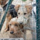 소사농장 이미지