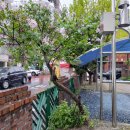 석산 경로당 이미지