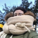 헬씨메이드 이미지