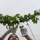 김상기농장 이미지