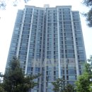 강남-297 이미지