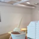 창원 가로수길 젤라또 맛집, 본디 젤라또 솔직후기🍨