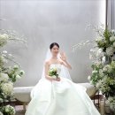 노보텔앰배서더강남 이미지