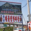 부경야채