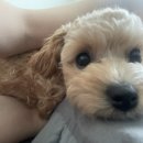 태동농장 이미지