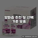 양파즙 추천 및 선택 기준 모음