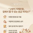 왜관동물병원 이미지