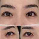 부산 서면 나에게 맞는 속눈썹펌 이프리래쉬 블랙틴팅펌 후기