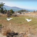 남해-161 이미지