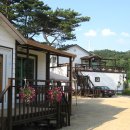 용인별바라기 이미지