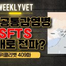 위클 이미지