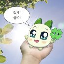 해찬푸드 | 서재페 윈터 옆자리 후기(3) | 서울 재즈 페스티벌 2026 서재페 한로로 혁오 유라