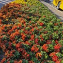 11월 5일 출석부입니다 이미지