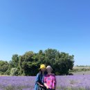 보라빛민박 | 베르동 협곡 투어 내돈내산 후기 발랑솔 무스띠에 니스에서 남프랑스 여행 코스 시기
