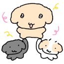 라이닛 스튜디오
