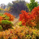 숲속농원민박 이미지