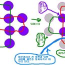 비즈나와