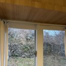 (혼)알마트 | 겨울제주 3박4일 혼여행 마무리~~