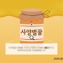 다음 쿠키뉴스: [단독] 해외선 설탕꿀인데…한국만 식품 인정하는 ‘사양벌꿀’ [꿀 없는 꿀벌①] 이미지