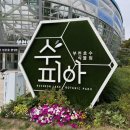 주말 나들이 부천 호수 식물원 수피아 야간 예약 방문 솔직후기