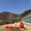 거리농장 | 서울근교 딸기농장 아이와 가볼만한 곳 율봄농장 꿀팁
